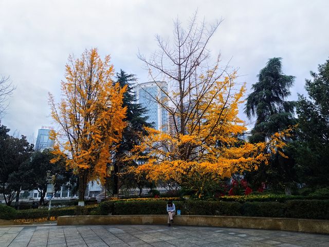 杏好~~有你 杏好~~有你