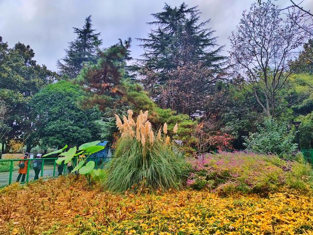 杏好~~有你 杏好~~有你