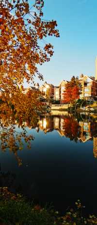 夕陽映照下的歐式建築構成的絕美風景