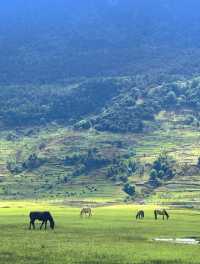 美得不像話雲南麗江也有自己的阿勒泰