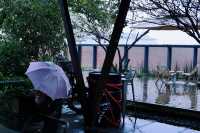 陰雨天,把城市的聲音調到最輕