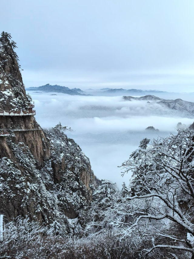 下雪天的老君山怎麼人更多呢? 下雪天的老君山怎麼人更多呢?