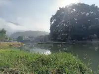 雲水謠避坑攻略解答!一城,一人,一夢;