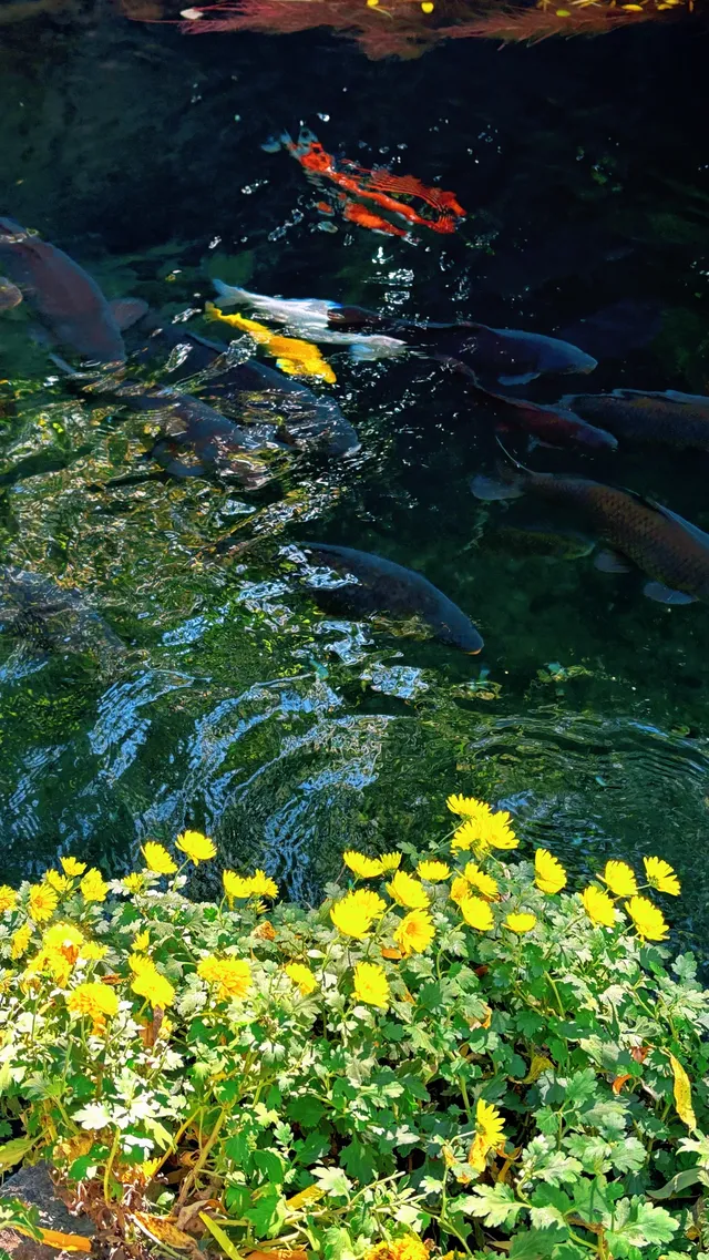 傳說中的“琉璃海”，我在濟南找到了！