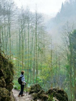 이곳은 제가 청두 주변에서 방문한 산 중에서 가장 매혹적인 곳입니다.