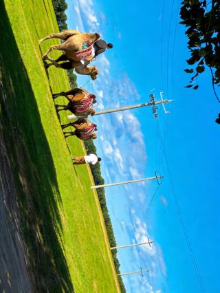 Explore Daqing Amuta for just 20 yuan! The ultimate hidden gem for self-driving tours