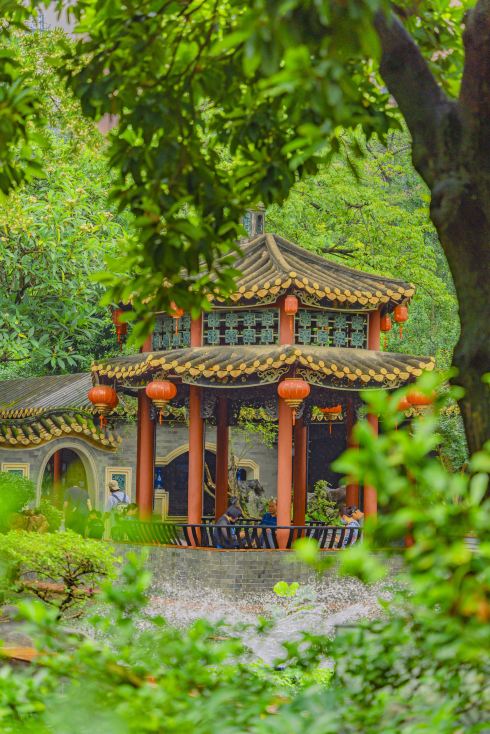 Complete Guide to Strolling Through Jiangnan Gardens, Photo Spots