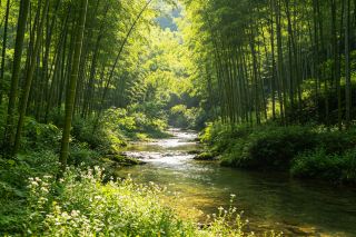 信陽新県でこの宋風ホテルに泊まると、まるで江南の夢を見ているよう