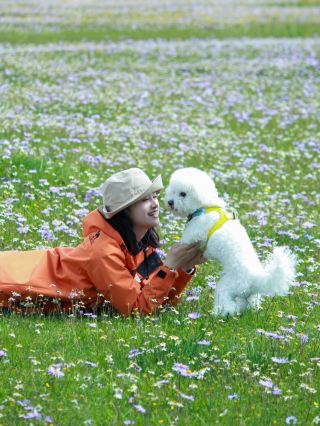 犬を連れて川西草原へ勇敢に挑む、笑いすぎて酸欠になった24時間