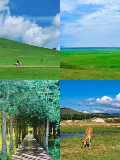 3 hours direct from Beijing! Volcano + grassland double hidden gems, summer average temperature 20℃