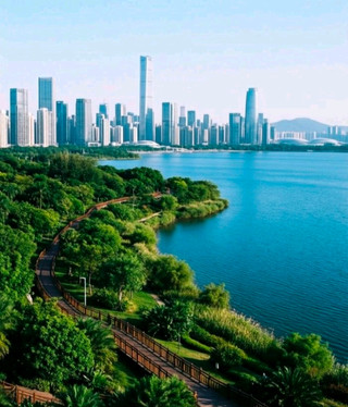 深圳灣公園｜浪漫免費濱海一日遊天花板