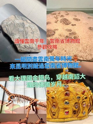 博物館打卡指南