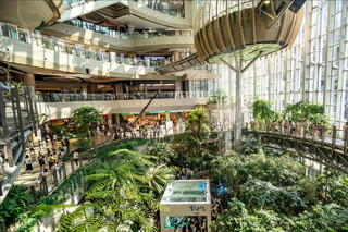 New hotspot for plant lovers