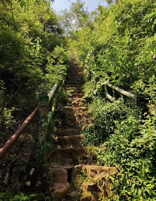 詩経の山水に抱かれ、仙境の美しさに酔いしれる鶴鳴峡