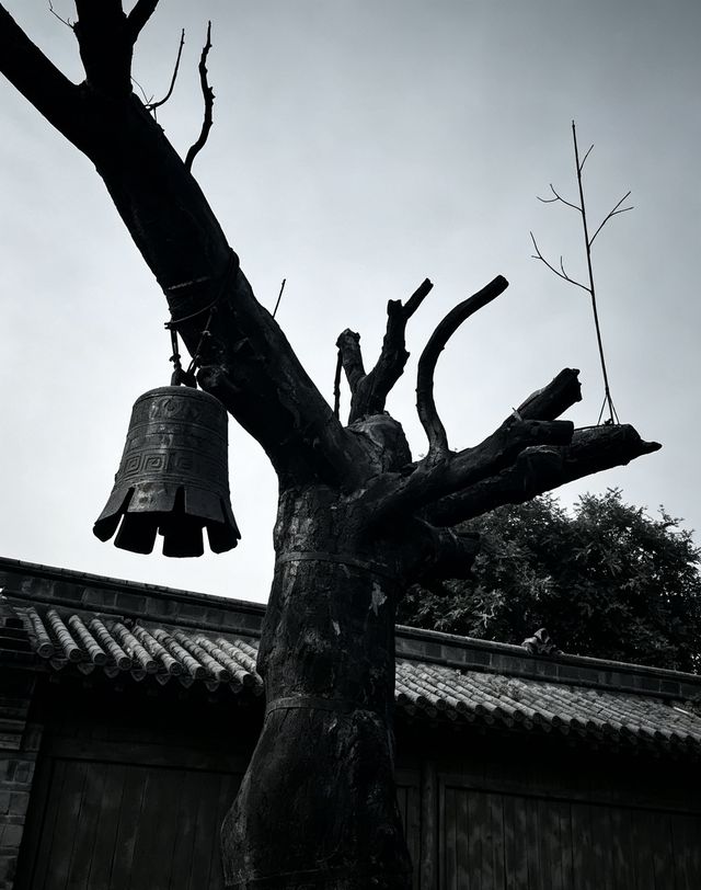 走進冉莊地道戰,一寸黃土,一段山河記憶。