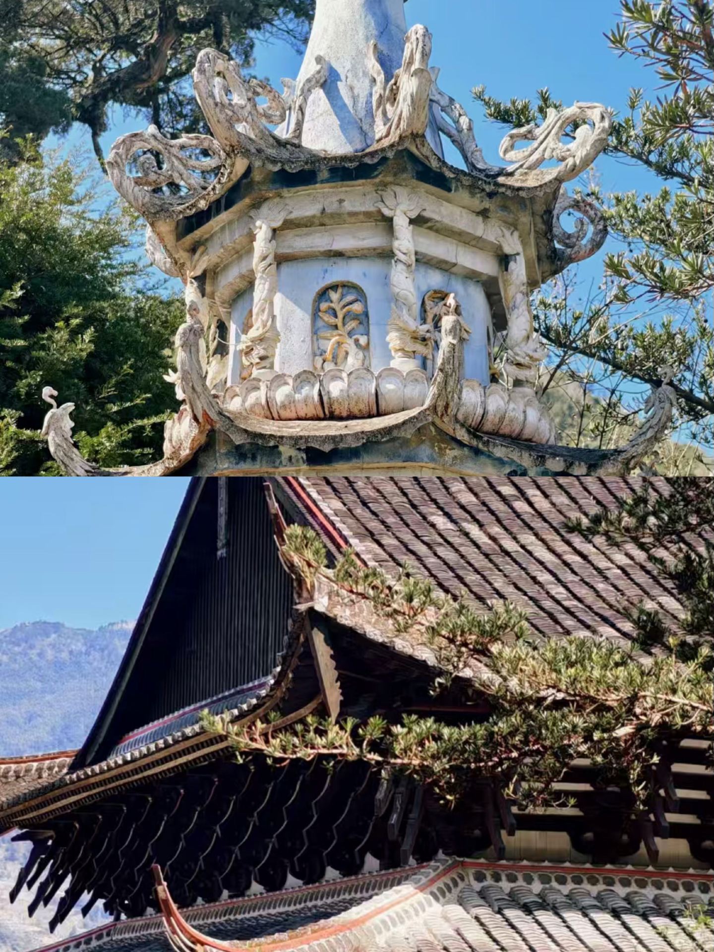 福安已回，朋友圈問爆了。