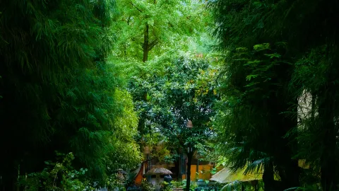 Berjarak 1,5 jam berkendara dari Chengdu, terdapat sebuah penginapan ramah keluarga di tengah hutan dengan pemandian air panas pribadi. — traveler post in Deyang