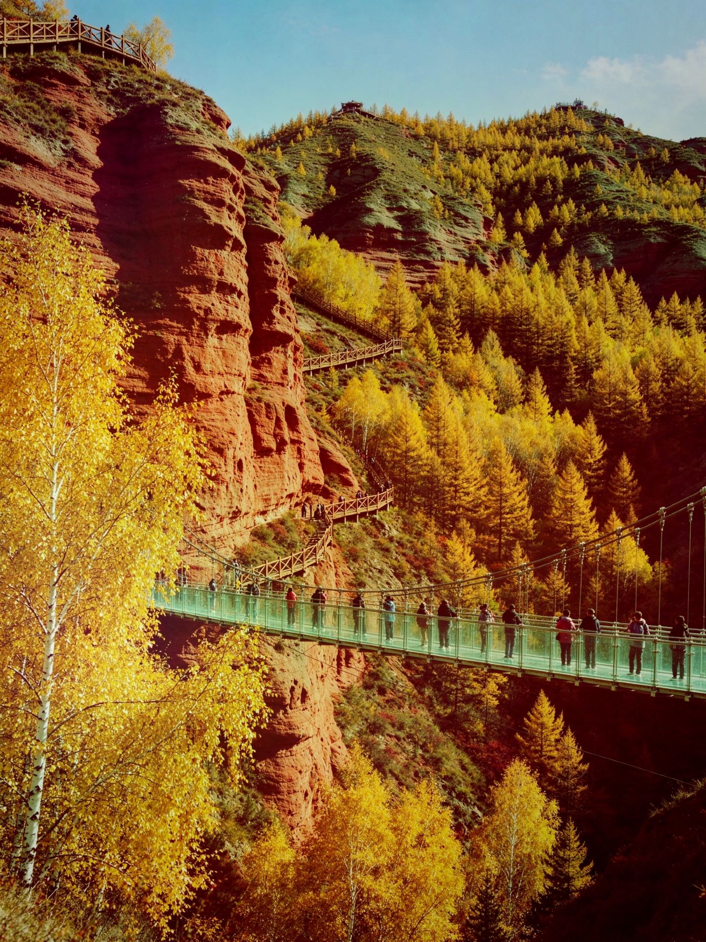 Hidden in the deep mountains of Guyuan! The autumn scenery of Huoshizhai Danxia: half red rock, half forest