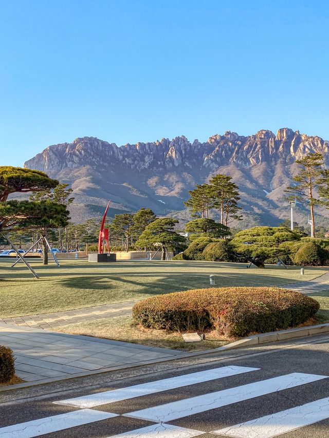 설악산 보면서 아침 산책하시 좋은 델피노 리조트⛰️