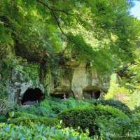 【鎌倉の代名詞🌿報国寺】