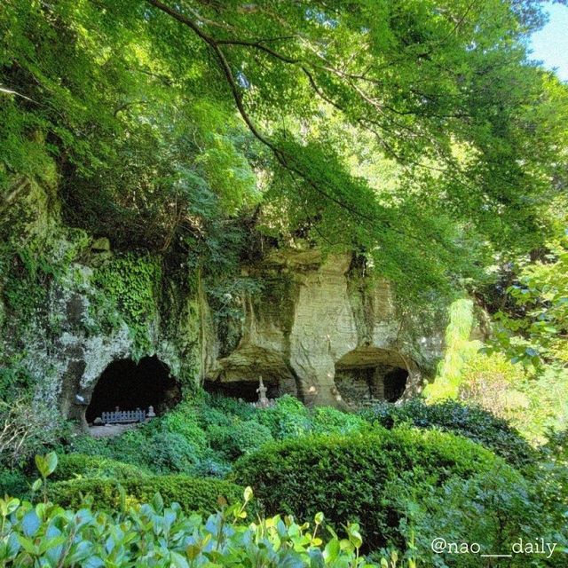 【鎌倉の代名詞🌿報国寺】