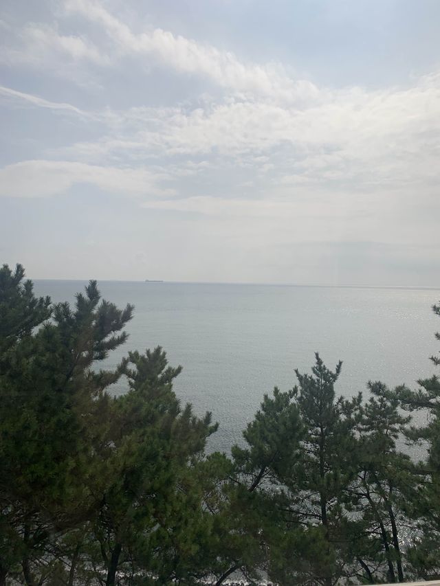 인스타감성사진 건집시다 ! 해운대 스카이캡슐, 해변열차