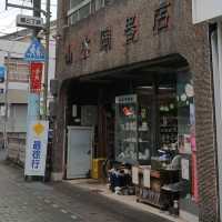 奈良隱藏景點，郡山金魚之都