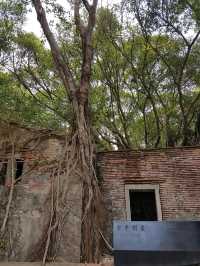 💕 Anping Tree House