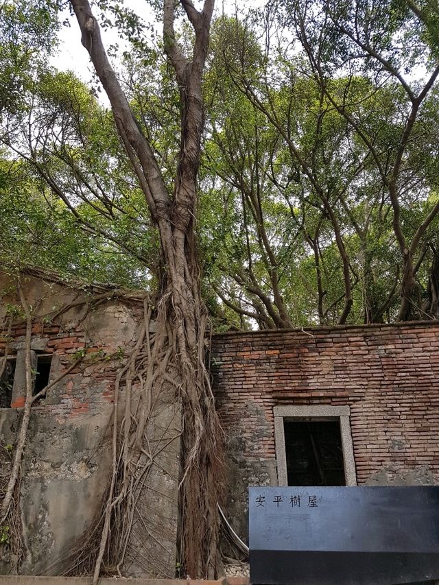 💕 Anping Tree House