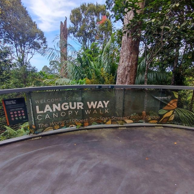 Penang Rainforest Discovery Centre