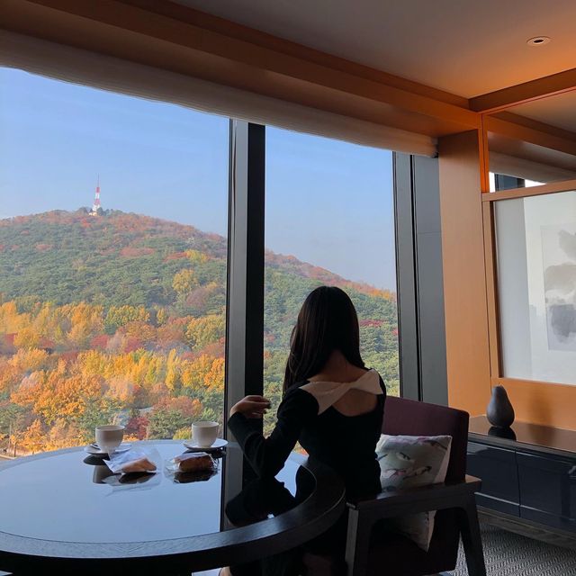 뷰가 끝내주는 호텔.. 그랜드 하얏트 서울🛋️