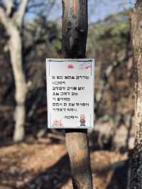 나들이 하기 좋은 예쁜 산책로가 있는 문화유산 사찰: 석남사