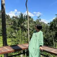 Green at the Rice Terrace