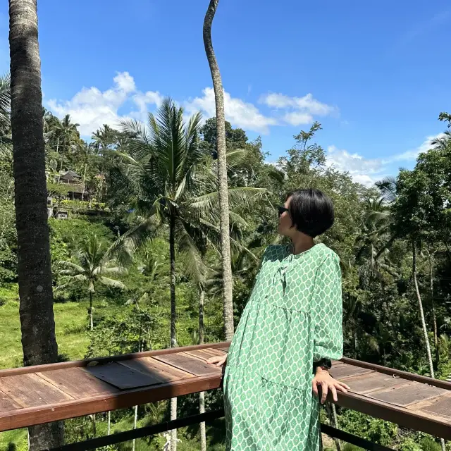 Green at the Rice Terrace