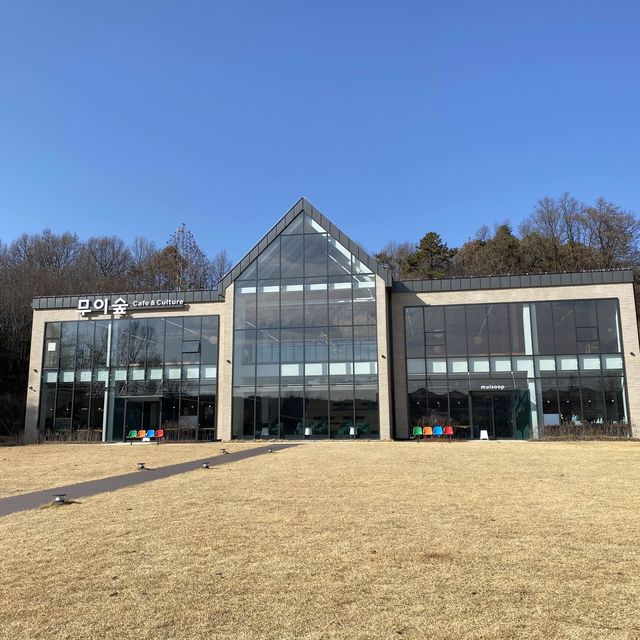 여주 베이커리 카페 무이숲