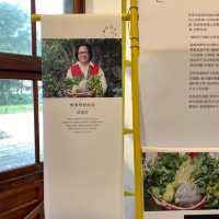發掘大自然的奧秘｜可食花草展🌸🍀