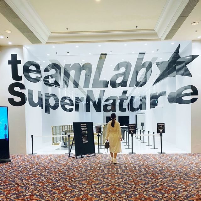 澳門Team Lab超自然空間⭐️打卡熱門地方