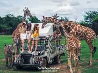 สวนสัตว์เปิด ซาฟารีปาร์ค กาญจนบุรี