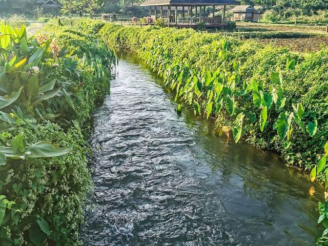 บ้านหลองข้าวสะเมิง | เชียงใหม่