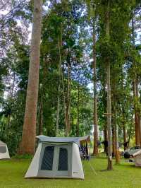 ยางนาแคมป์ Yangna Camp อุทัยธานี