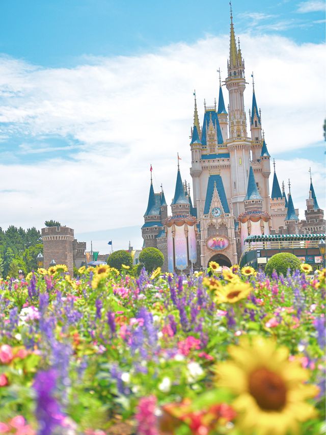 7月夏のディズニーランドのポイント