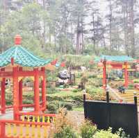 Botanical Garden in Baguio City! 😯