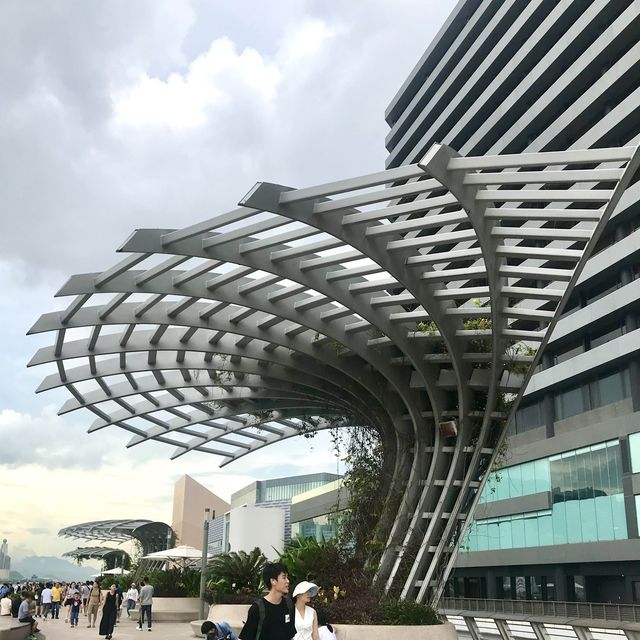 Don’t miss whilst in Hong Kong