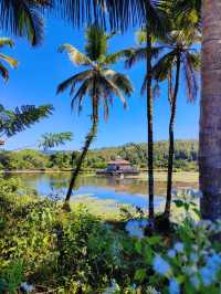  A beautiful Jain Temple in a Lake 😍