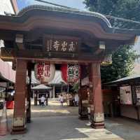 『巣鴨地蔵通り商店街 』IN巣鴨駅🚉