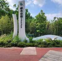 ▍療癒之旅 ▍深圳都市田園：忘卻喧囂，尋覓愜意自然美景 
