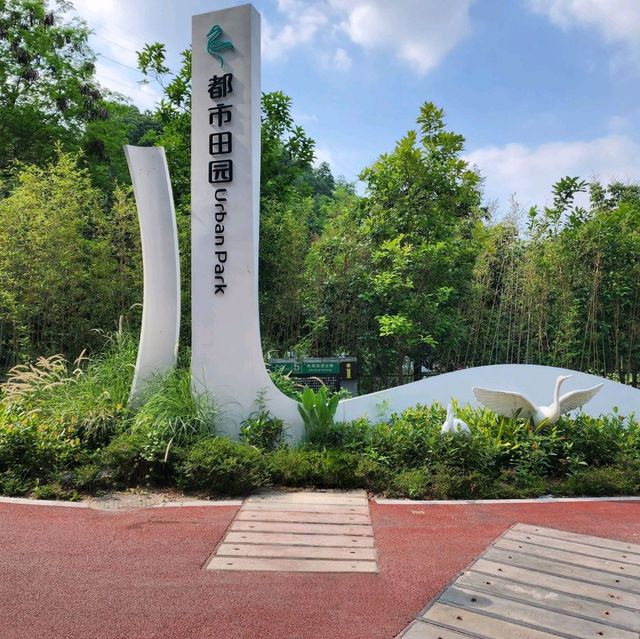 ▍療癒之旅 ▍深圳都市田園：忘卻喧囂，尋覓愜意自然美景 
