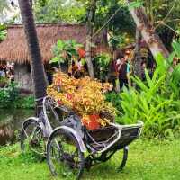 Indulge in The Natural Scenery of Binh Quoi!