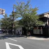 【京都府】人気の竹林の小径をのんびりお散歩！