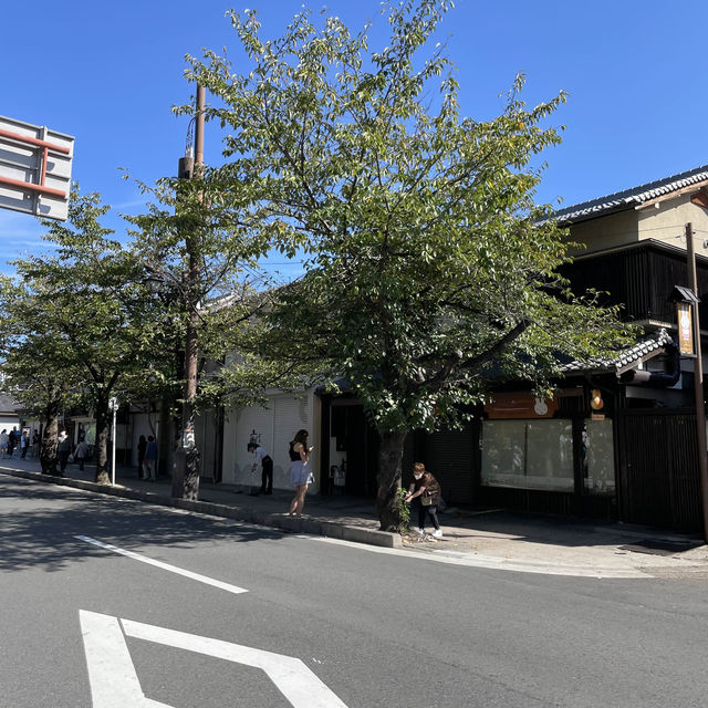 【京都府】人気の竹林の小径をのんびりお散歩！